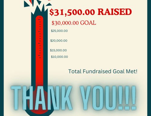 Nest’s 2023 From Our Flock Holiday Giving Campaign Exceeds Expectations