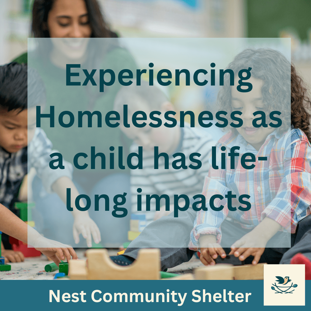 Nest Community Shelter (15)