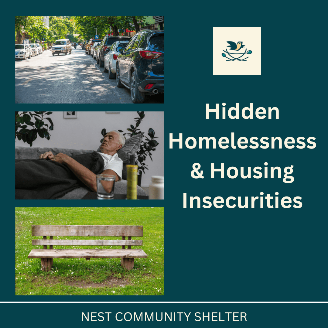 Hidden Homelessness & Housing Insecurities