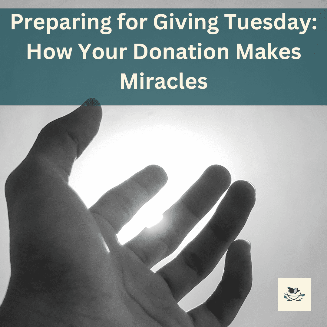 Preparing for Giving Tuesday How Your Donation Makes Miracles (4)