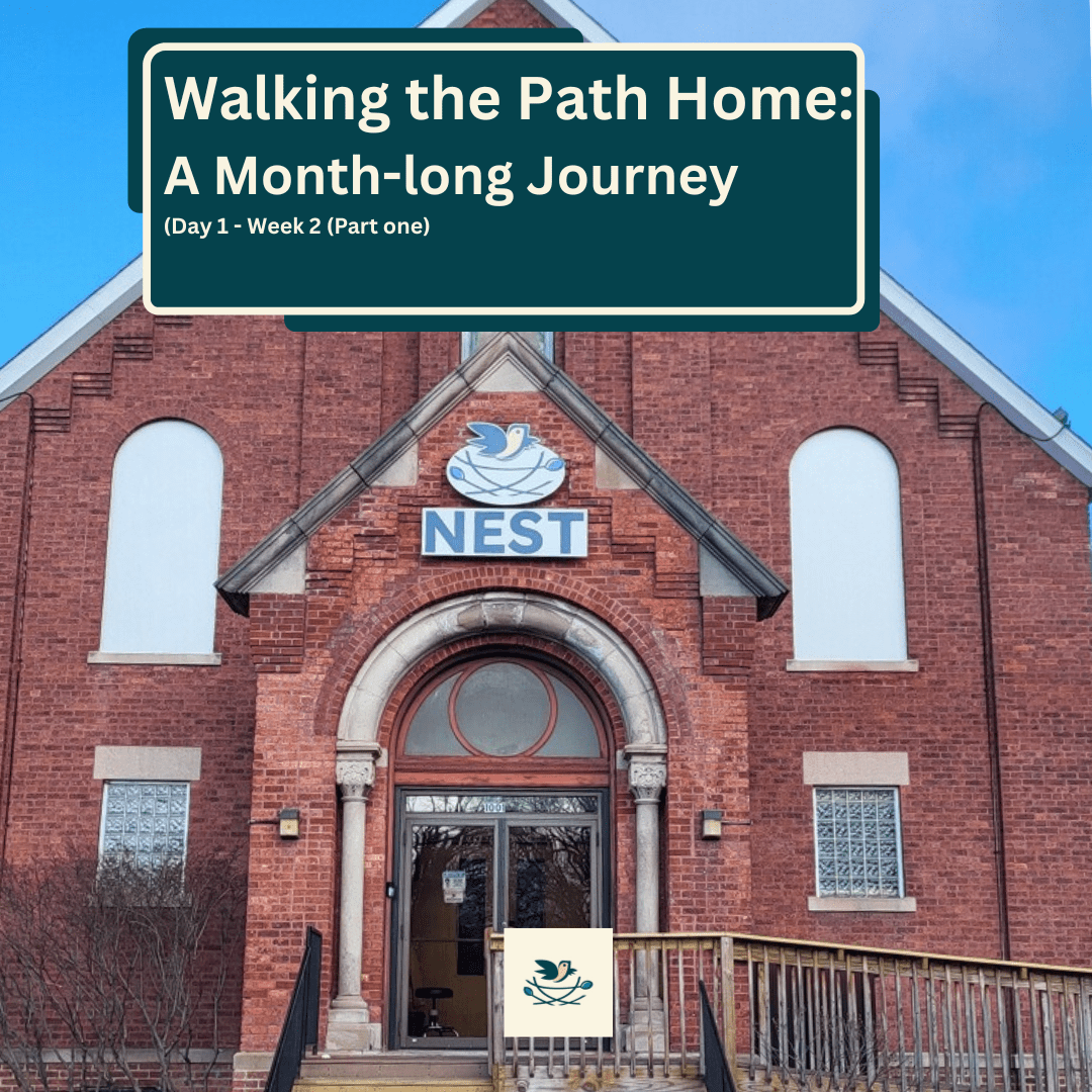 The Nest Journey Day 1- Week 2. Part one (1)
