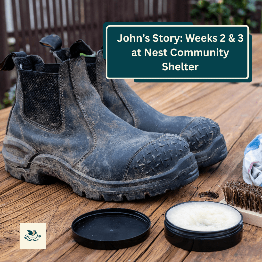 The Nest Journey Day 1- Week 2. Part one (3)
